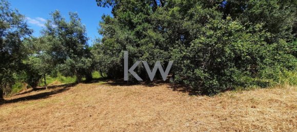  Land in Coimbra, Portugal No. 79970 3