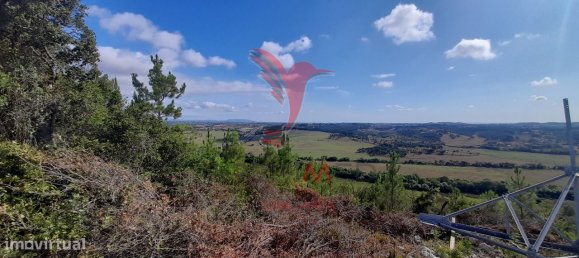 41320m² Land in Santarem, Portugal No. 63866 7