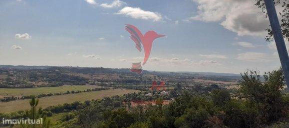 41320m² Land in Santarem, Portugal No. 63866 4