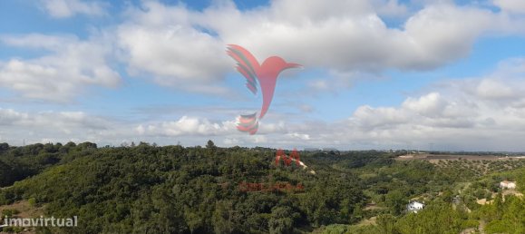 41320m² Land in Santarem, Portugal No. 63866 6