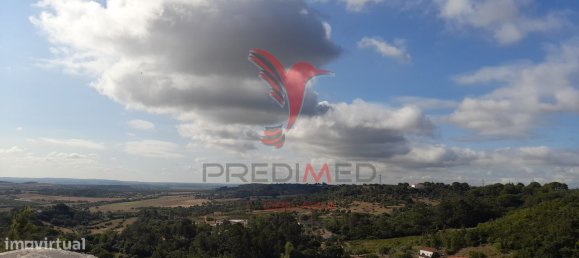 41320m² Land in Santarem, Portugal No. 63866 5