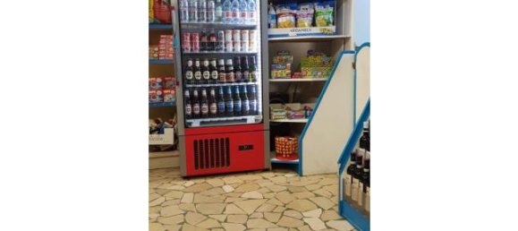 1-Zimmer Gewerbliche Immobilie in Pietrasanta, Italy, Nr. 252617 3