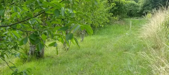 1197m² Land in Vienne, France No. 333734 5