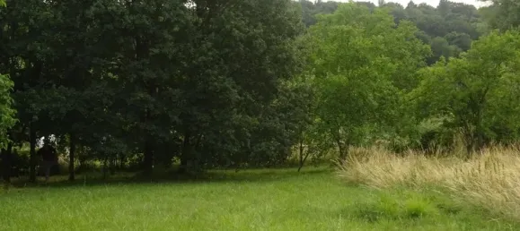 1197m² Land in Vienne, France No. 333734 10