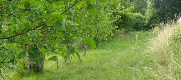 1197m² Land in Vienne, France No. 333734 3