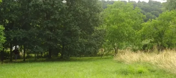 1197m² Land in Vienne, France No. 333734 12