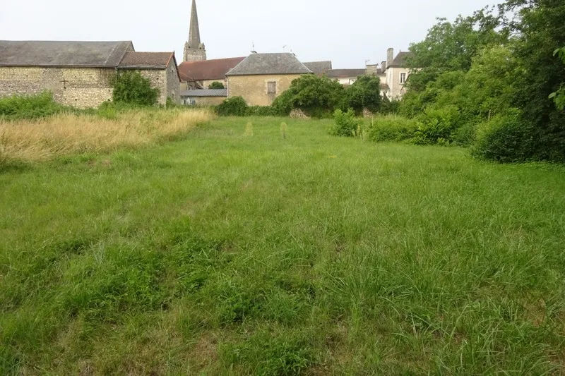 1197m² Land in Vienne, France No. 333734