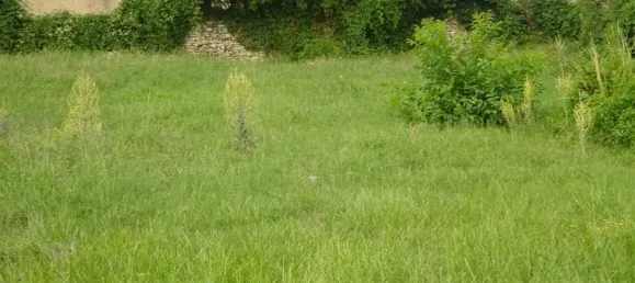 1197m² Land in Vienne, France No. 333734 13