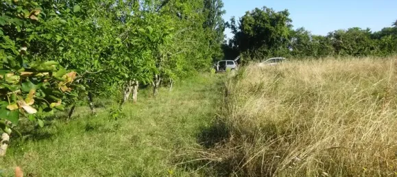 1197m² Land in Vienne, France No. 333734 4