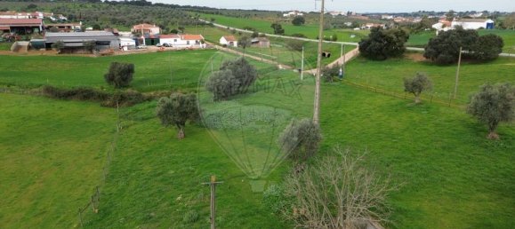 Casa de 7 dormitorios en Santo Amaro, Portugal No. 68339 39