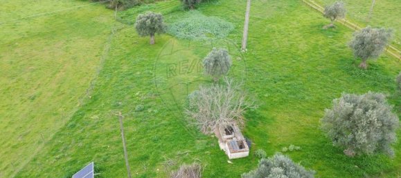 Casa de 7 dormitorios en Santo Amaro, Portugal No. 68339 34