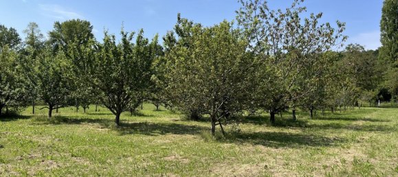 3 bedrooms House in Saint-Firmin-sur-Loire, France No. 82621 18