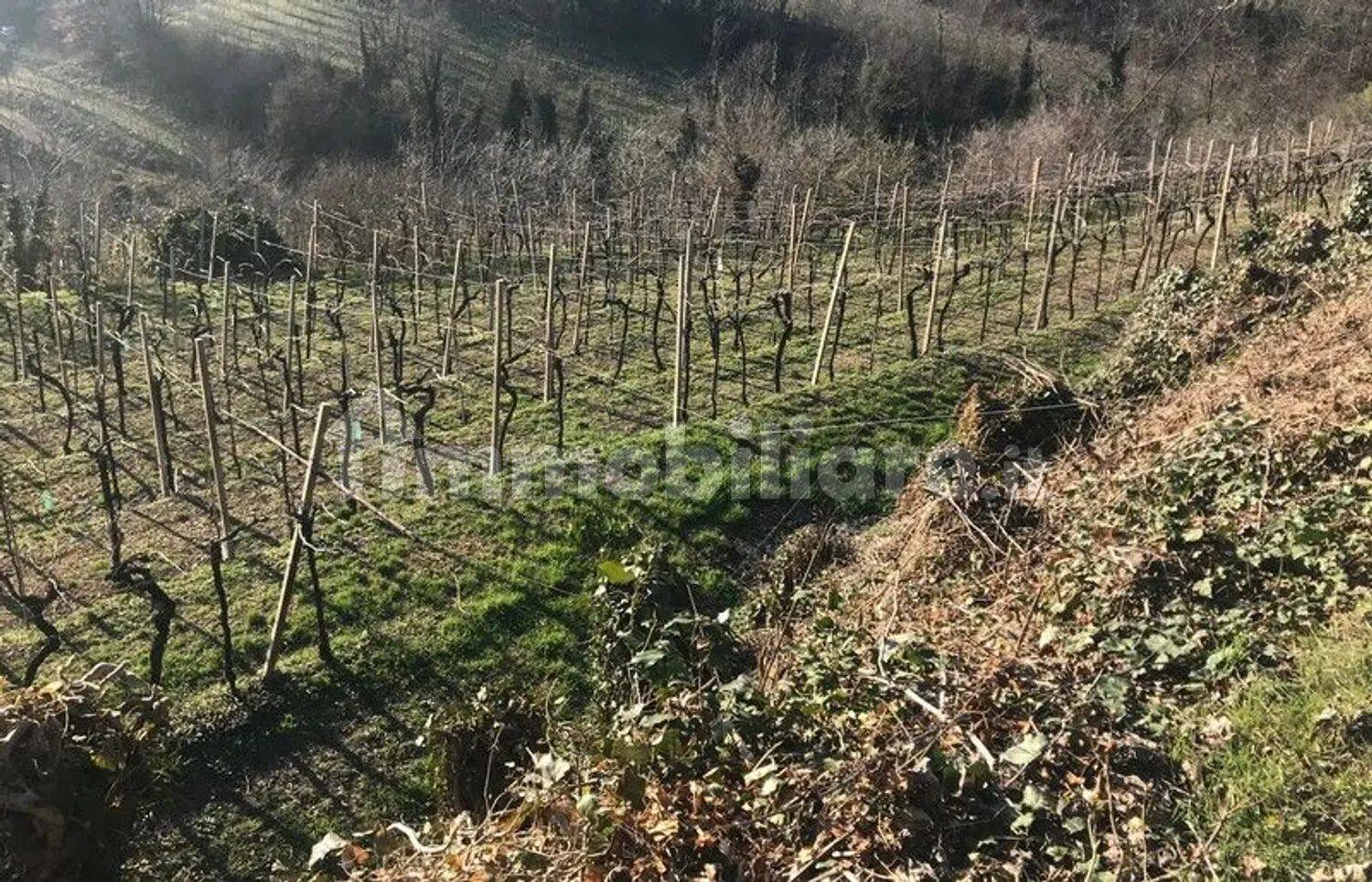 Grundstück in Soave, Italy 24000m², Nr. 188088