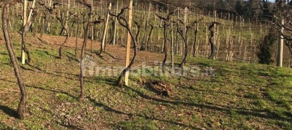 Grundstück in Soave, Italy 24000m², Nr. 188088 2