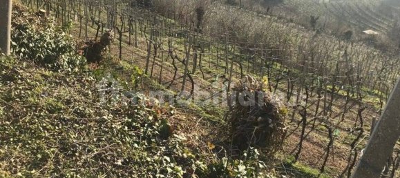 Grundstück in Soave, Italy 24000m², Nr. 188088 5