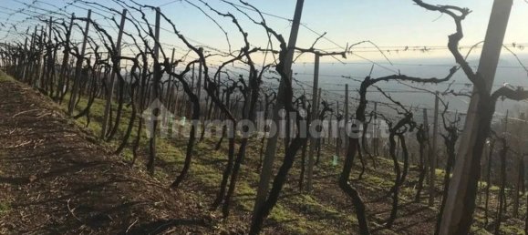 Grundstück in Soave, Italy 24000m², Nr. 188088 4