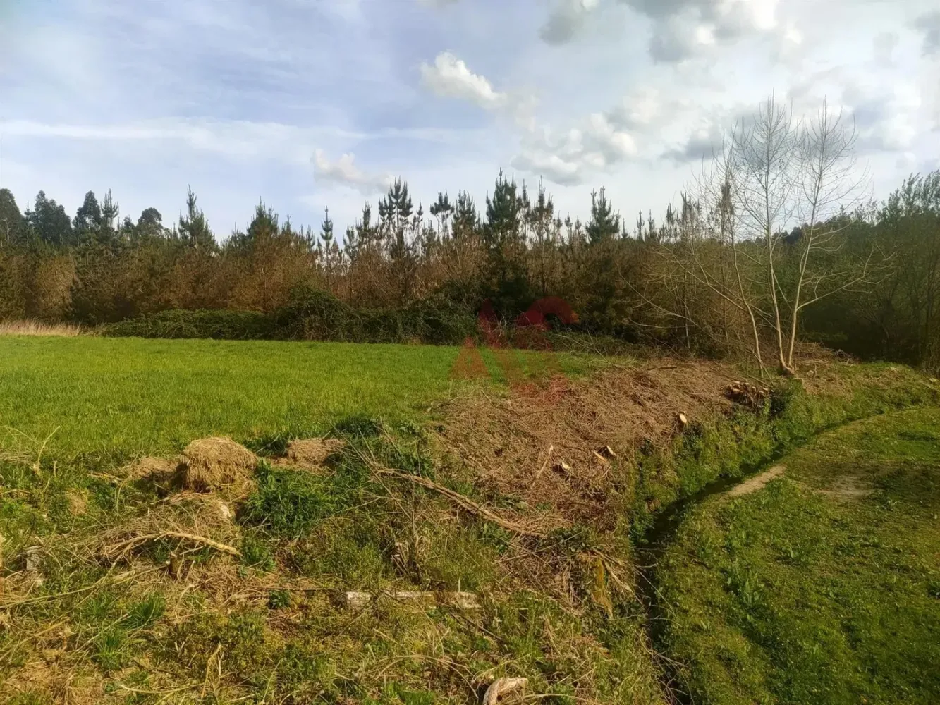 Grundstück in Fafe, Portugal, Nr. 243357
