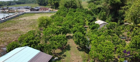  Land in Chiang Mai, Thailand No. 27197 9