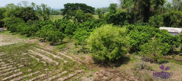  Land in Chiang Mai, Thailand No. 27197 13