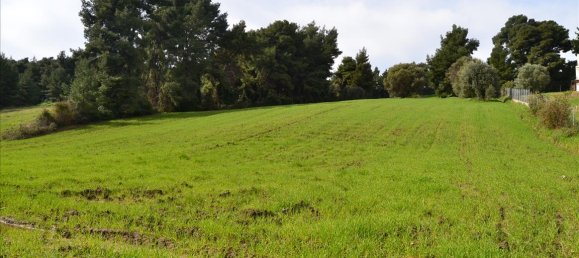 6750m² Hotel in Chalkidiki, Greece No. 7325 2