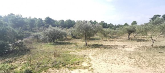 3 bedrooms House in Chella, Spain No. 116054 35