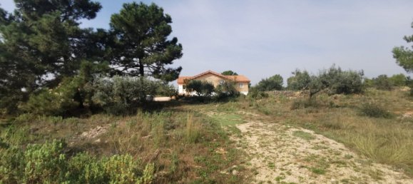 3 bedrooms House in Chella, Spain No. 116054 30