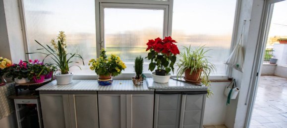 4 chambres Maison à Capalbio, Italy No. 130754 10