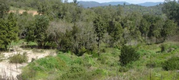 قطعة أرض في Valparaiso, Chile رقم 670 2