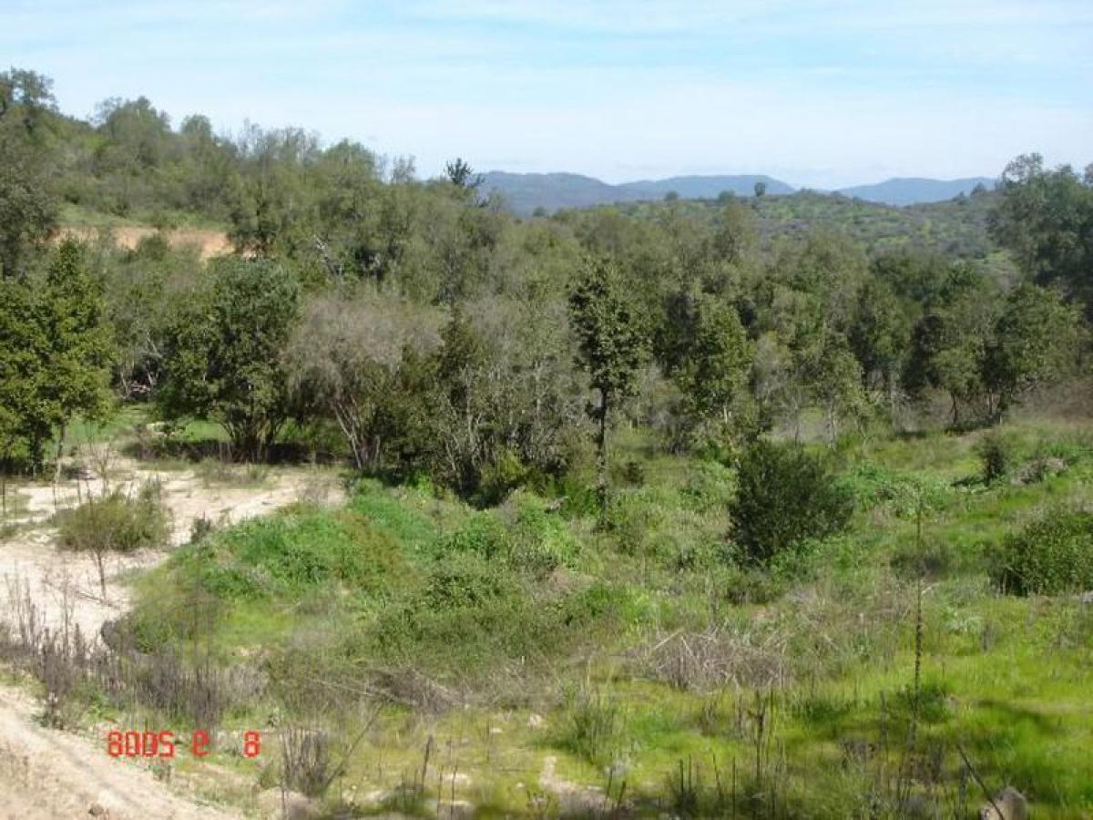  قطعة أرض في Valparaiso, Chile رقم 670