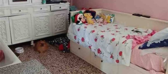 3 Schlafzimmer Villa in Pontecorvo, Italy, Nr. 145411 3