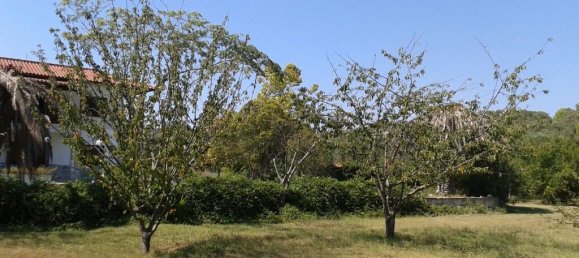 4 chambres Propriété commerciale à Chalkidiki, Greece No. 2937 18