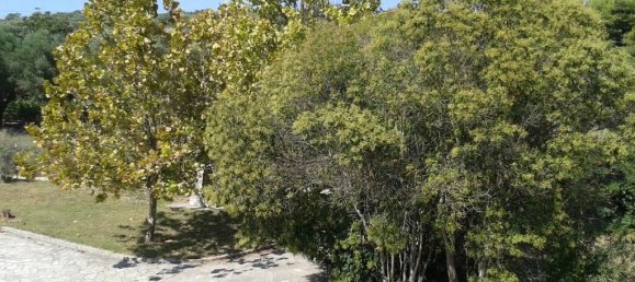 4 chambres Propriété commerciale à Chalkidiki, Greece No. 2937 10