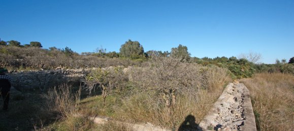 11687m² Land in Benimeli, Spain No. 97155 2
