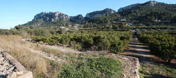 11687m² Land in Benimeli, Spain No. 97155 3
