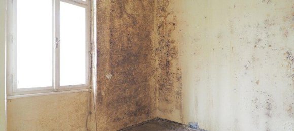 6 rooms Land in Gosting, Austria No. 137061 12