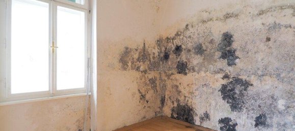 6 rooms Land in Gosting, Austria No. 137061 21