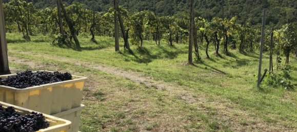 Casa de 7 divisões em Sinalunga, Italy N.º 267989 48