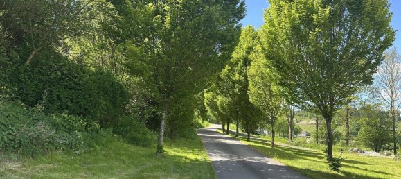 11غرفة مزرعة في Hochsauerlandkreis, Germany رقم 242092 15