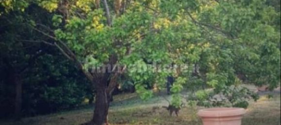 5 bedrooms Villa in Arcidosso, Italy No. 326044 7