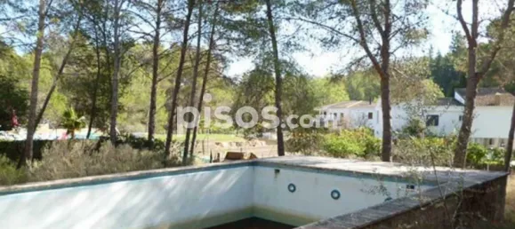  Land in Naquera, Spain No. 89648 4