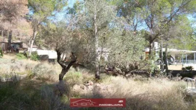  Land in Naquera, Spain No. 89648