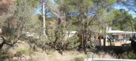  Land in Naquera, Spain No. 89648 3