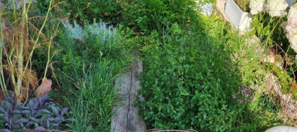 9غرفة منزل في Ostermiething, Austria رقم 254443 13