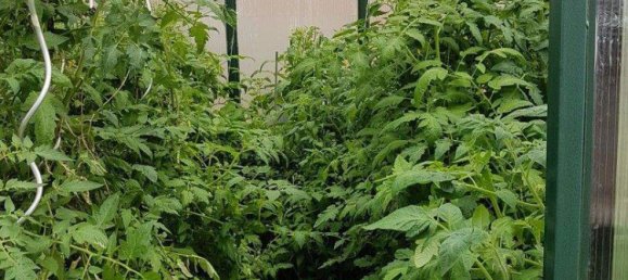 9غرفة منزل في Ostermiething, Austria رقم 254443 20