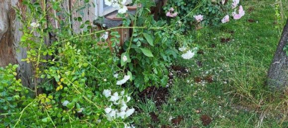 9غرفة منزل في Ostermiething, Austria رقم 254443 9