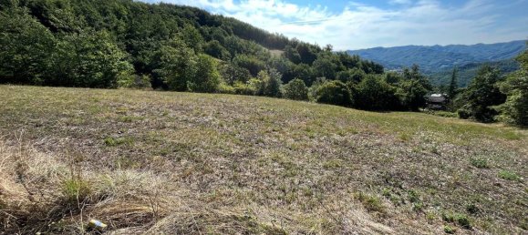 12-Zimmer Haus in Badia Tedalda, Italy, Nr. 110783 8