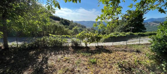 12-Zimmer Haus in Badia Tedalda, Italy, Nr. 110783 24