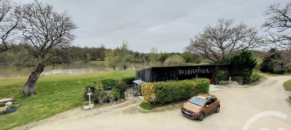 3 bedrooms Castles in La Ferte-Saint-Cyr, France No. 257290 21