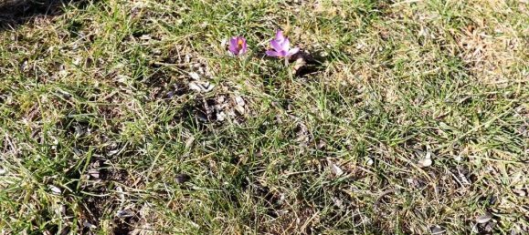 6-salle Maison à Brandenburg, Germany No. 79134 10