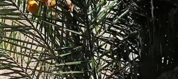 3-salle Villa à Miggiano, Italy No. 286129 15